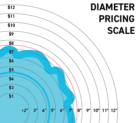 Graphic titled Diameter Pricing Scale showing circular size markers with pricing where diameter in inches equals dollars, for example 6 inches equals $6, with pieces under 2 inches priced at $1